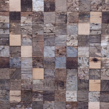 Fossil Eiche Abonos Quadro